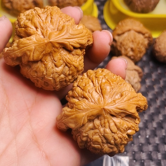 文玩核桃50尺大龙鼎