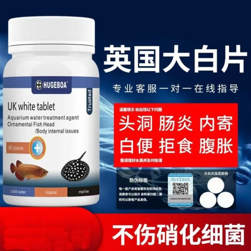 【外贸品质】英国大白片内寄外寄鱼用泰狮兰寿水族观赏鱼金鱼头洞