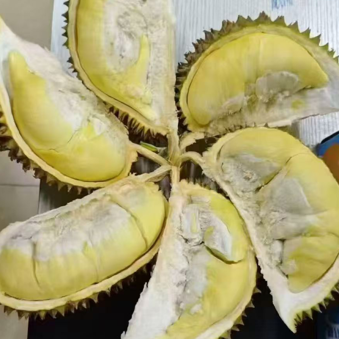 （福利果专属）新鲜榴莲一物一拍 1-3 斤核小，夹生脆包偏硬偏熟.介意者慎拍.金枕泰国