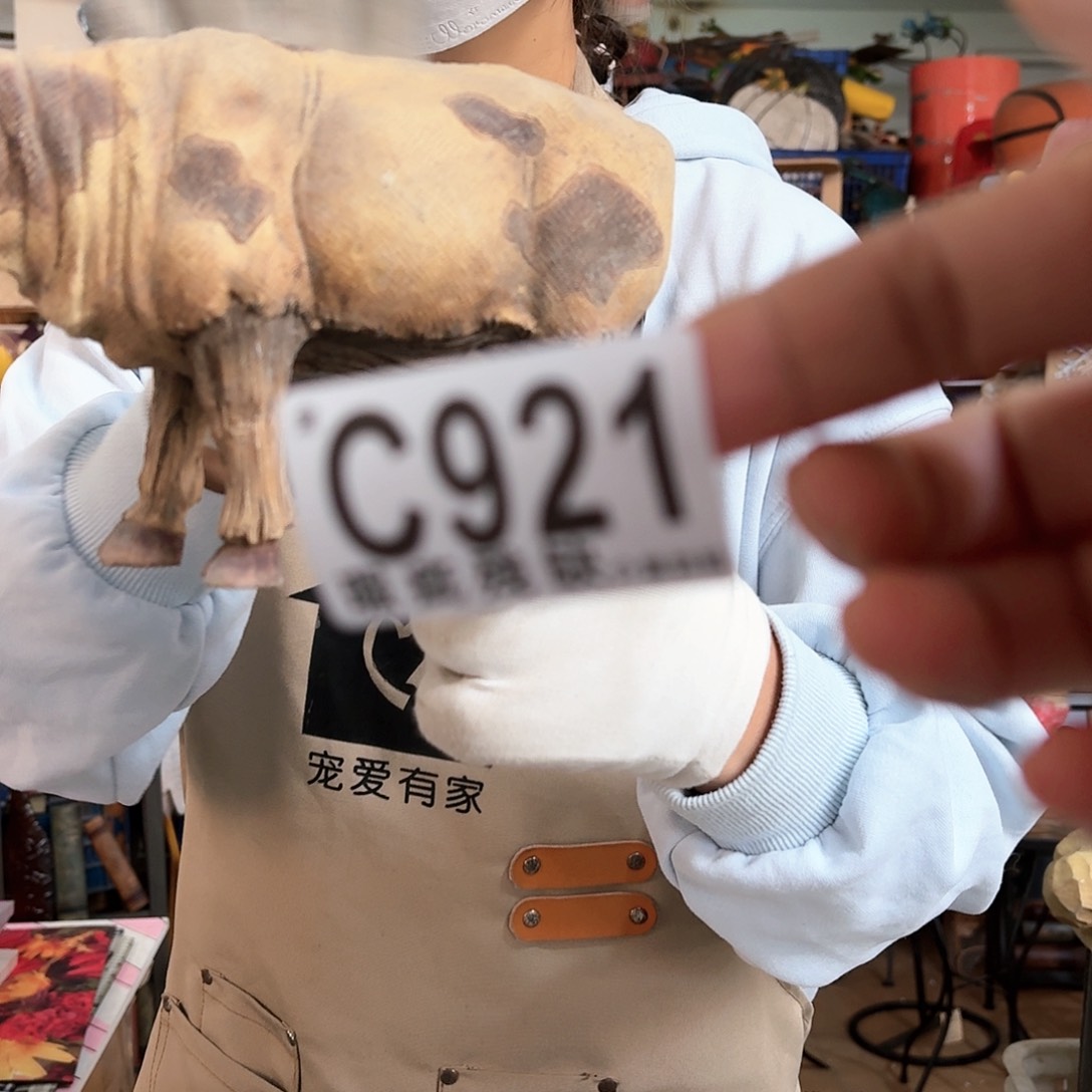 核桃木/黑胡桃（胡桃木）