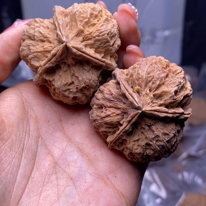 文玩核桃把件云南野生铁核桃203号44mm