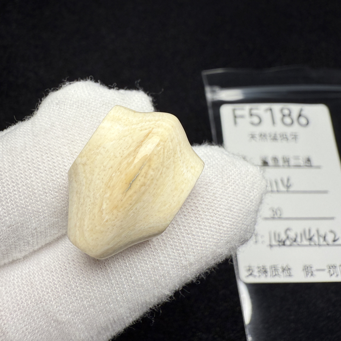 F5186猛犸象牙鲨鱼背一体三通冰料果冻料14.8*14.1*21mm