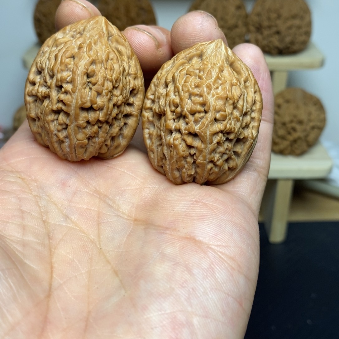 大叶紫檀（黑酸枝木类）33尺寸大蒜头