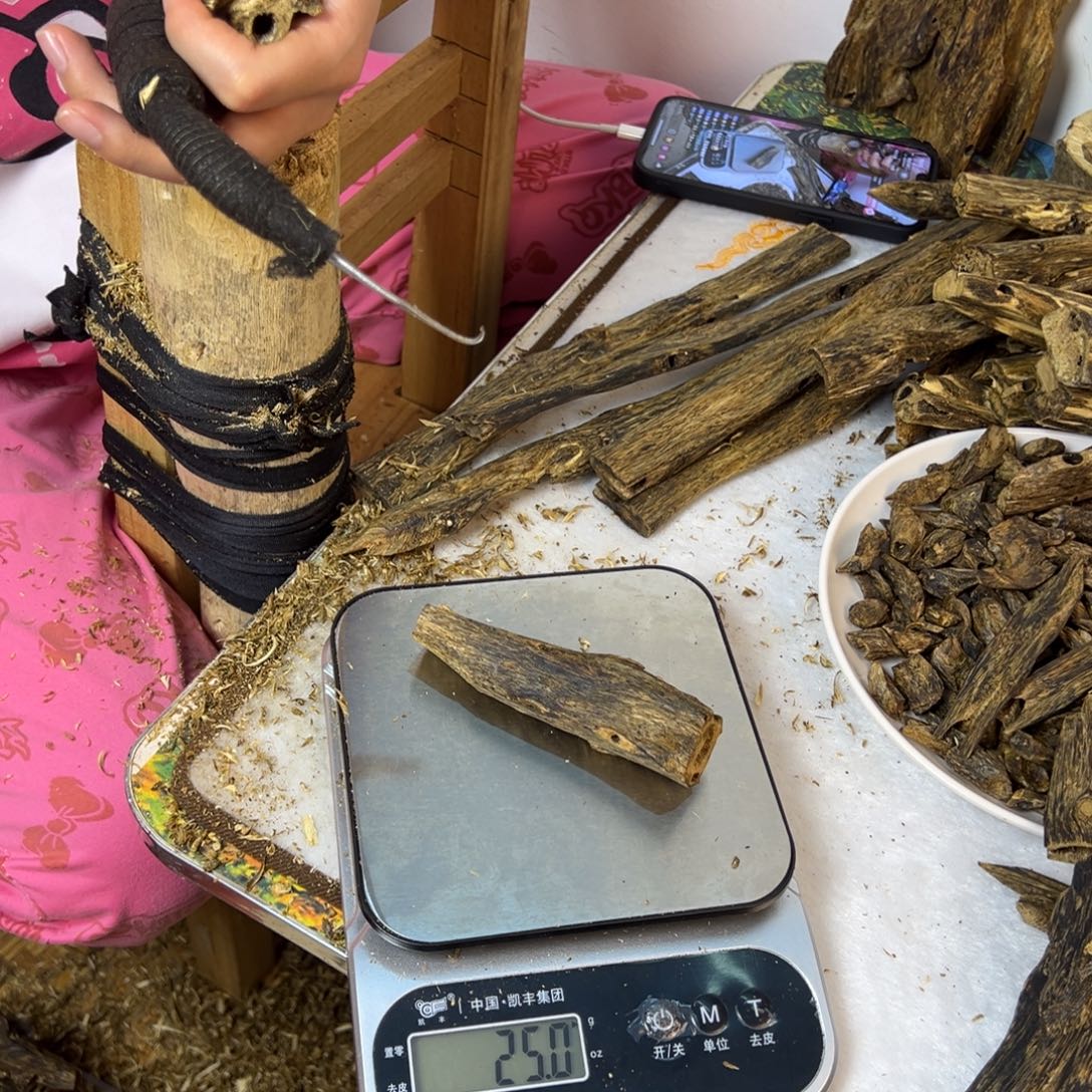 线香奇楠虫漏香25克