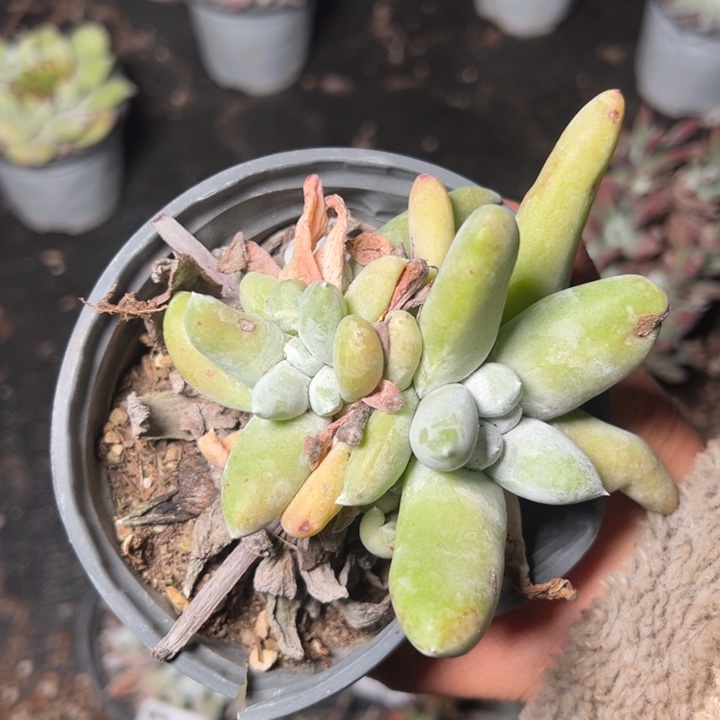 017哈哈哈哈哈哈哈哈