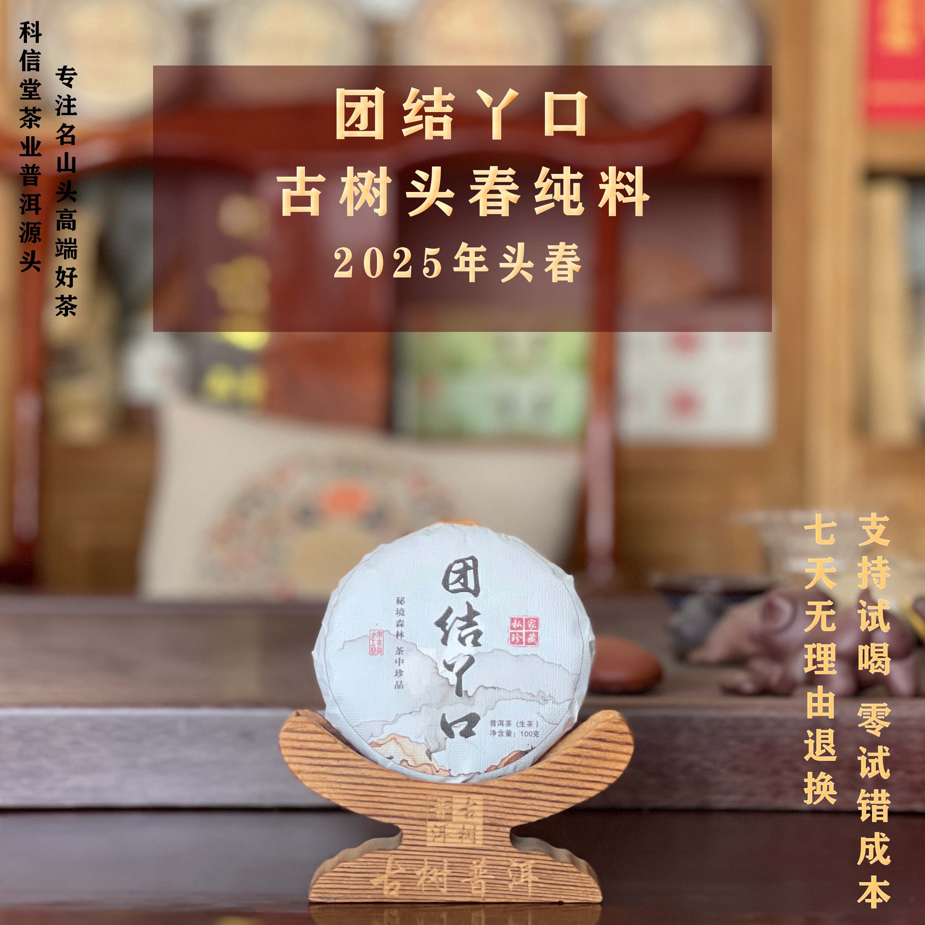 2025年 团结丫口 大古树头春古树普洱生茶  100克/饼 