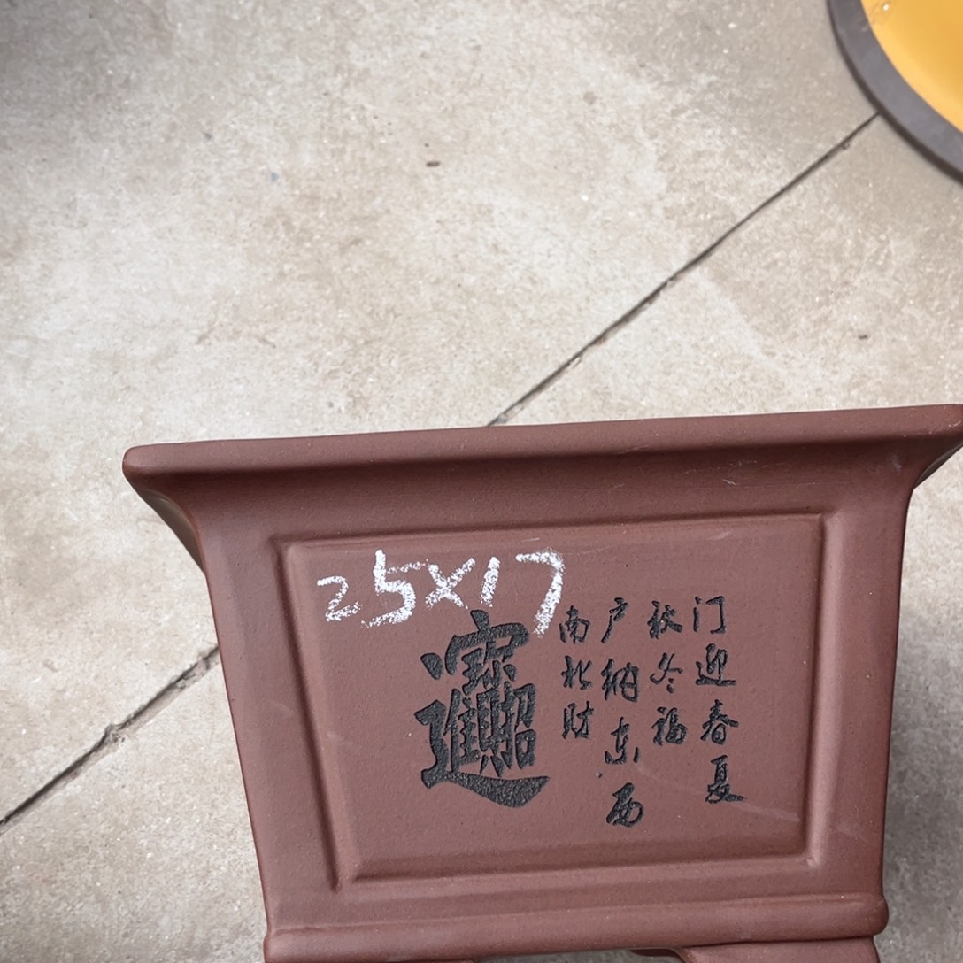 花盆紫砂盆景艺术