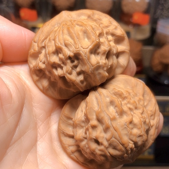 精品大耳朵图图（图王）