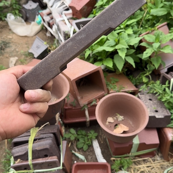 是的呀哈哈是这样哈哈不错