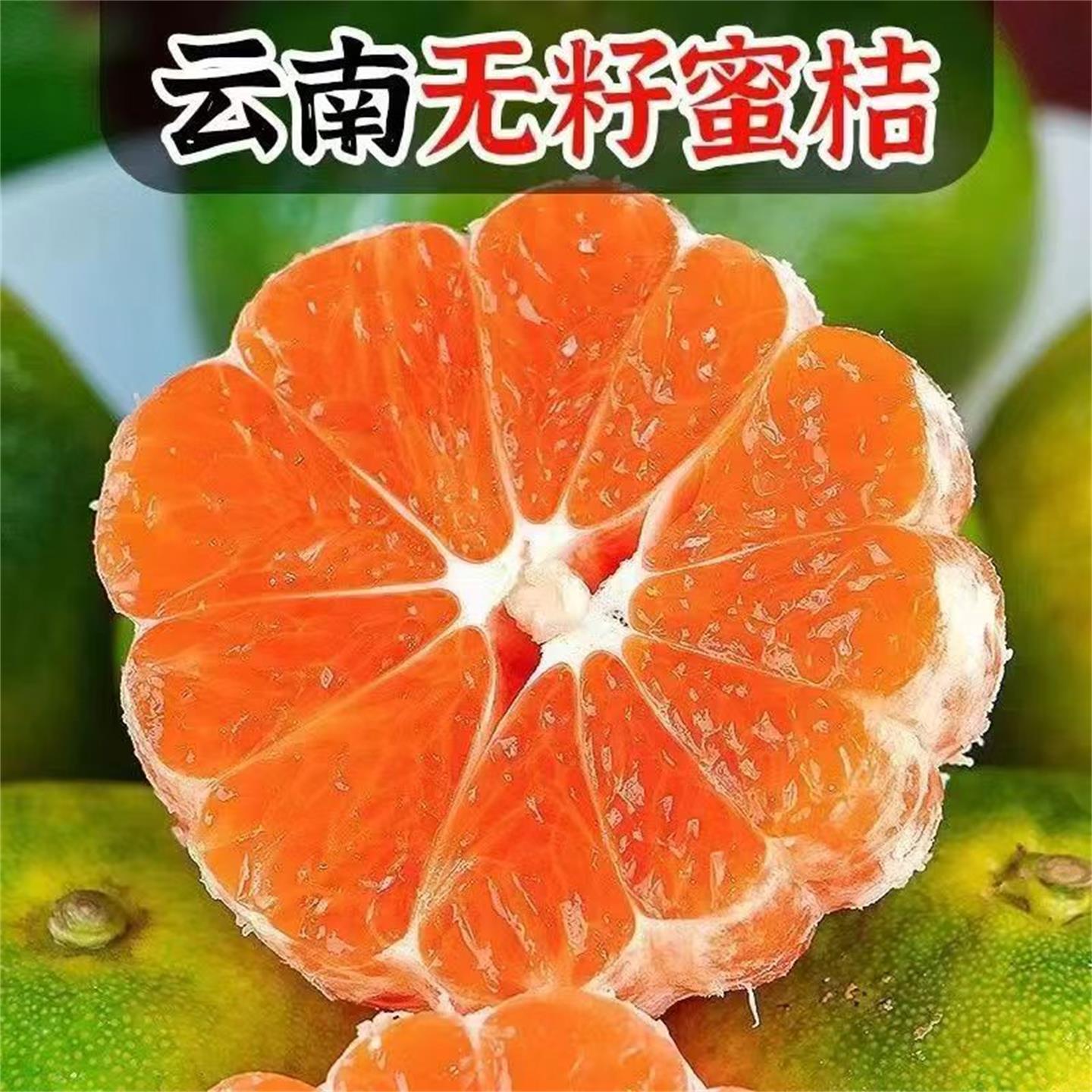 正宗云南无籽青皮蜜橘酸甜可口新鲜采摘当季水果5斤