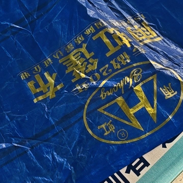 绒质666666666666666666666666666666