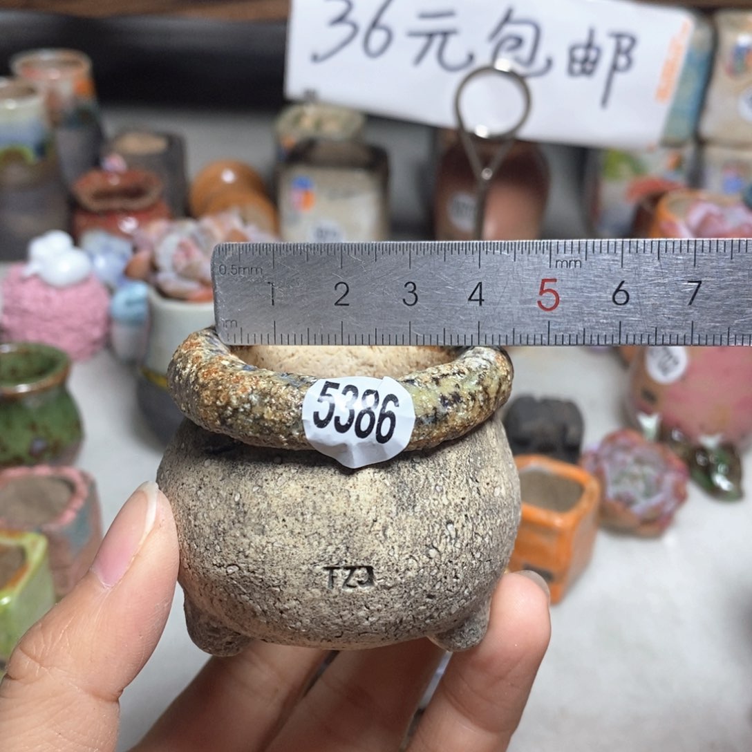 拍3送一个小礼物