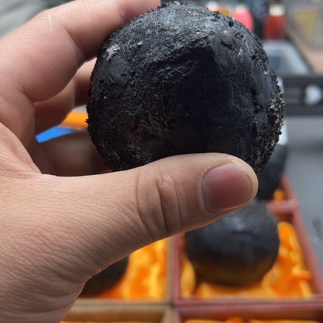 看***风吊坠菩提根/象牙果