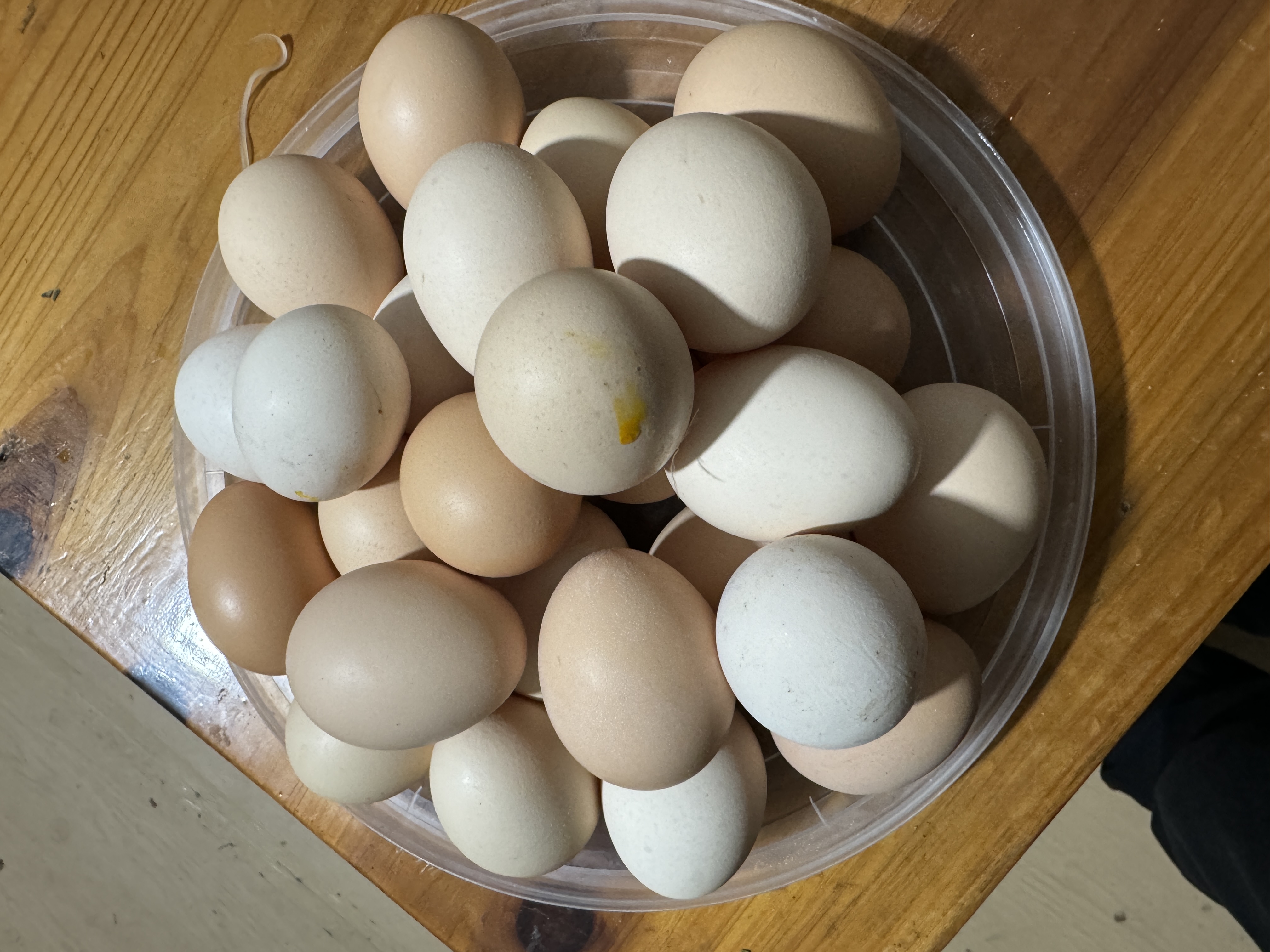 黄山散养土鸡蛋新鲜营养谷物喂养健康粉壳蛋