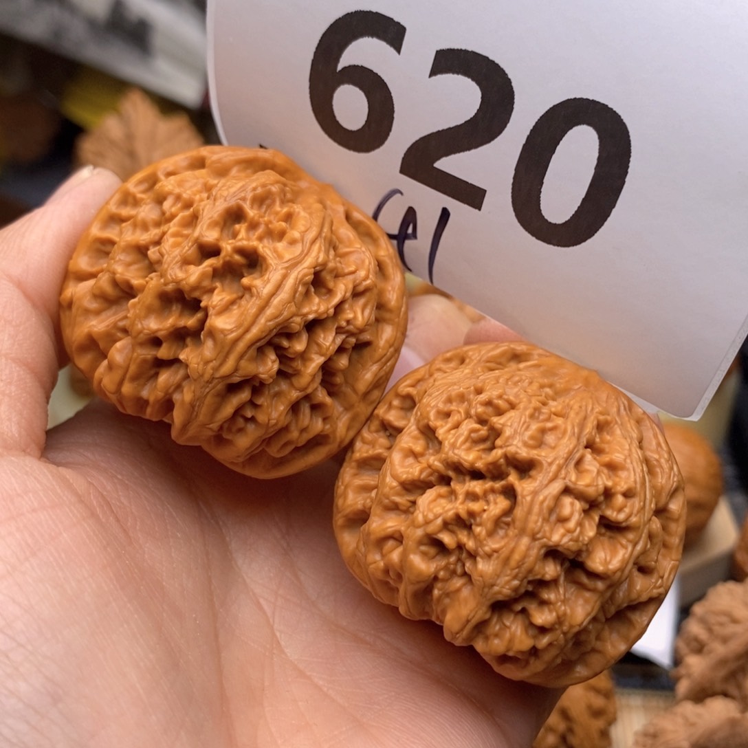 文玩核桃把件620号41粗筋