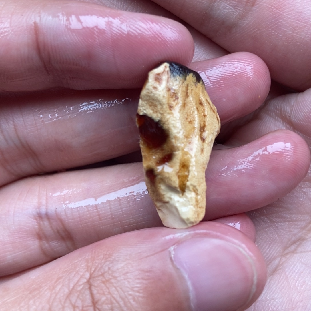 定制琥珀未镶嵌定制