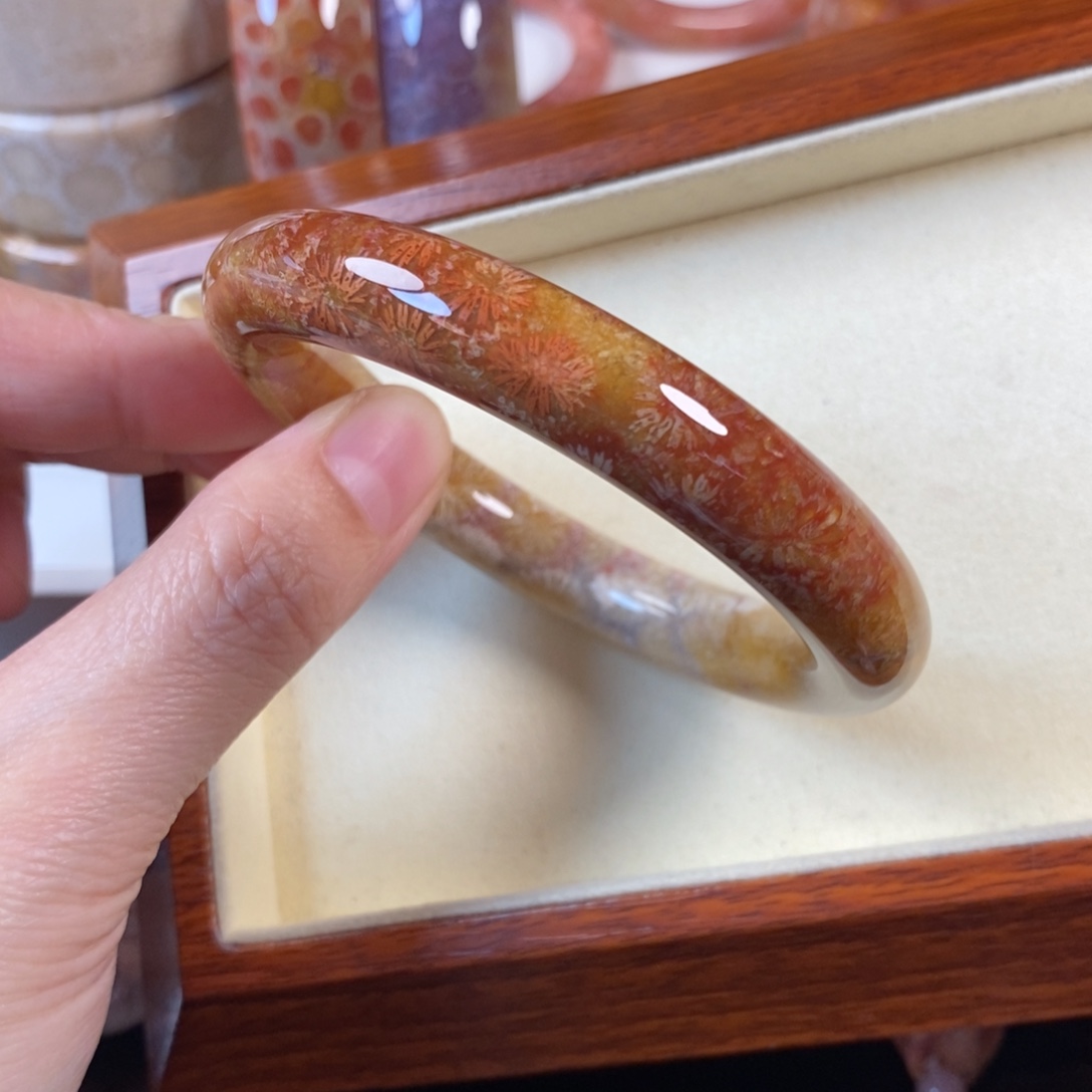 硅化珊瑚（珊瑚玉）未镶嵌手镯54.9口800