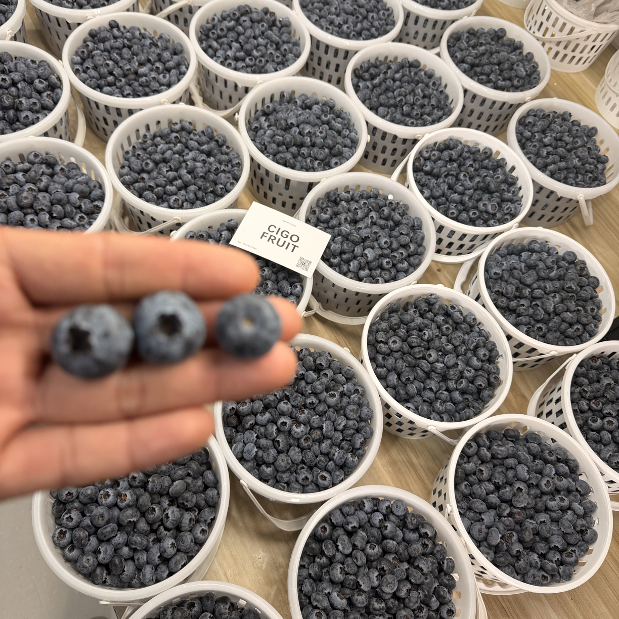 云南花香蓝莓15+（篮约2.8斤）云南省