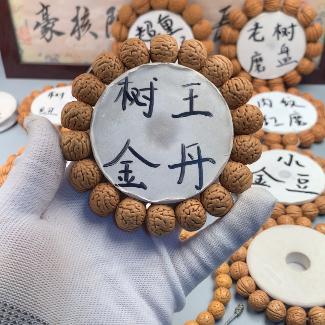桃核手串树王金丹