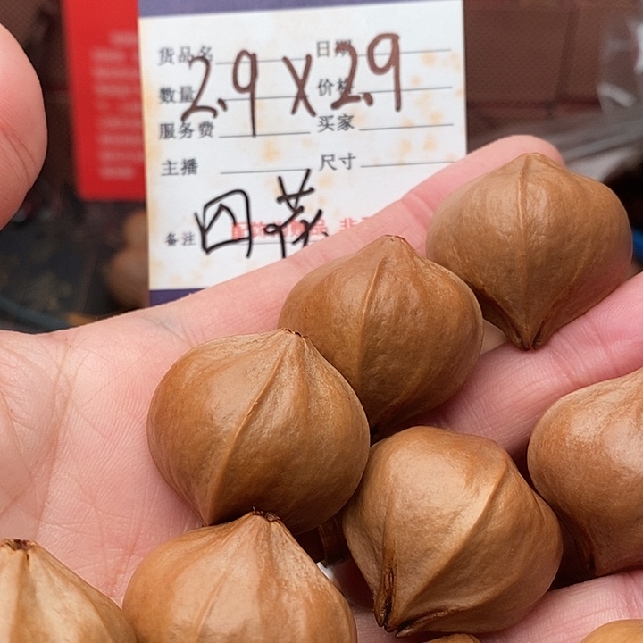 手串/手链橄榄核坤***玩