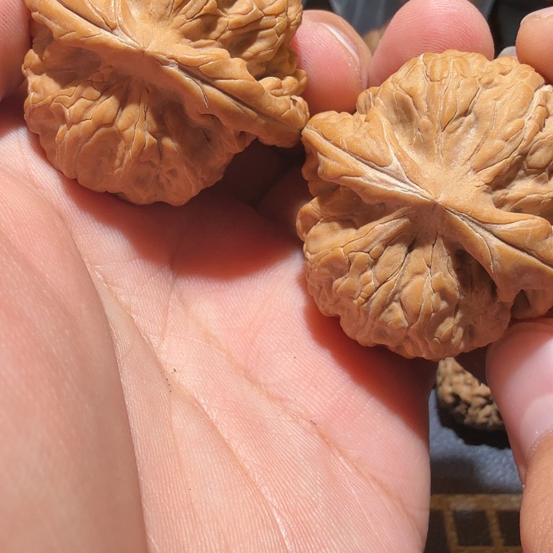 文玩核桃把件元**贞红锦鲤