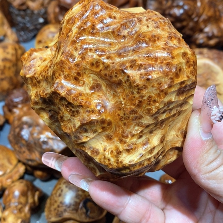 柏木?**侳太行崖柏陈化