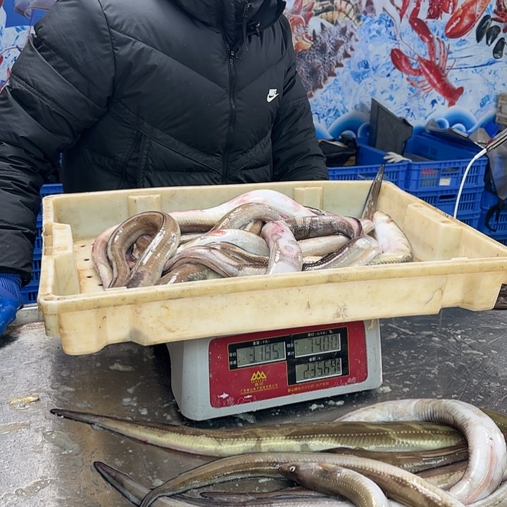 中国大陆彤*妈鳗鱼