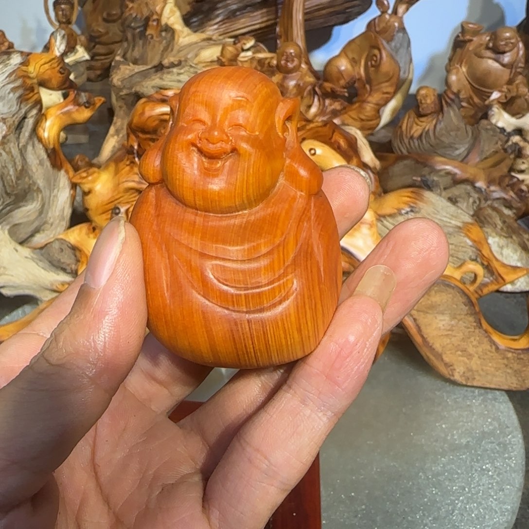 巴***雨柏木太行崖柏88888888