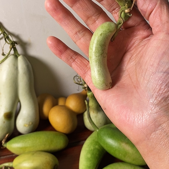 破****?找本章葫芦手把件