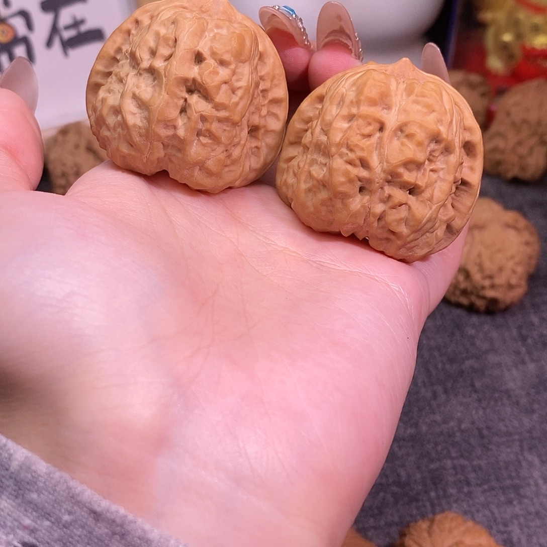 41尺寸白茶蛤蟆头