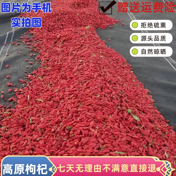 高原枸杞子干果【大果】头茬新货无硫无熏吃的放心