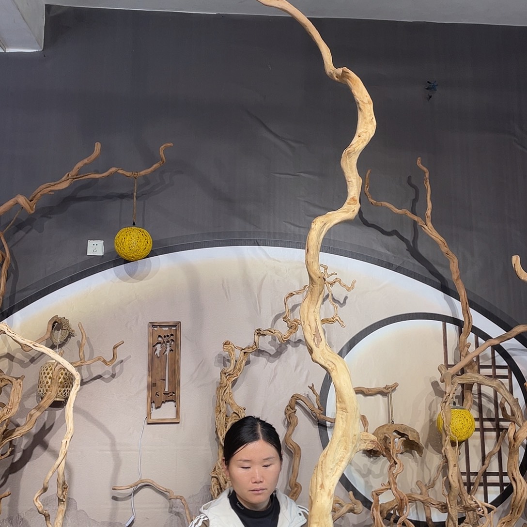 芸***]核桃木/黑胡桃（胡桃木）