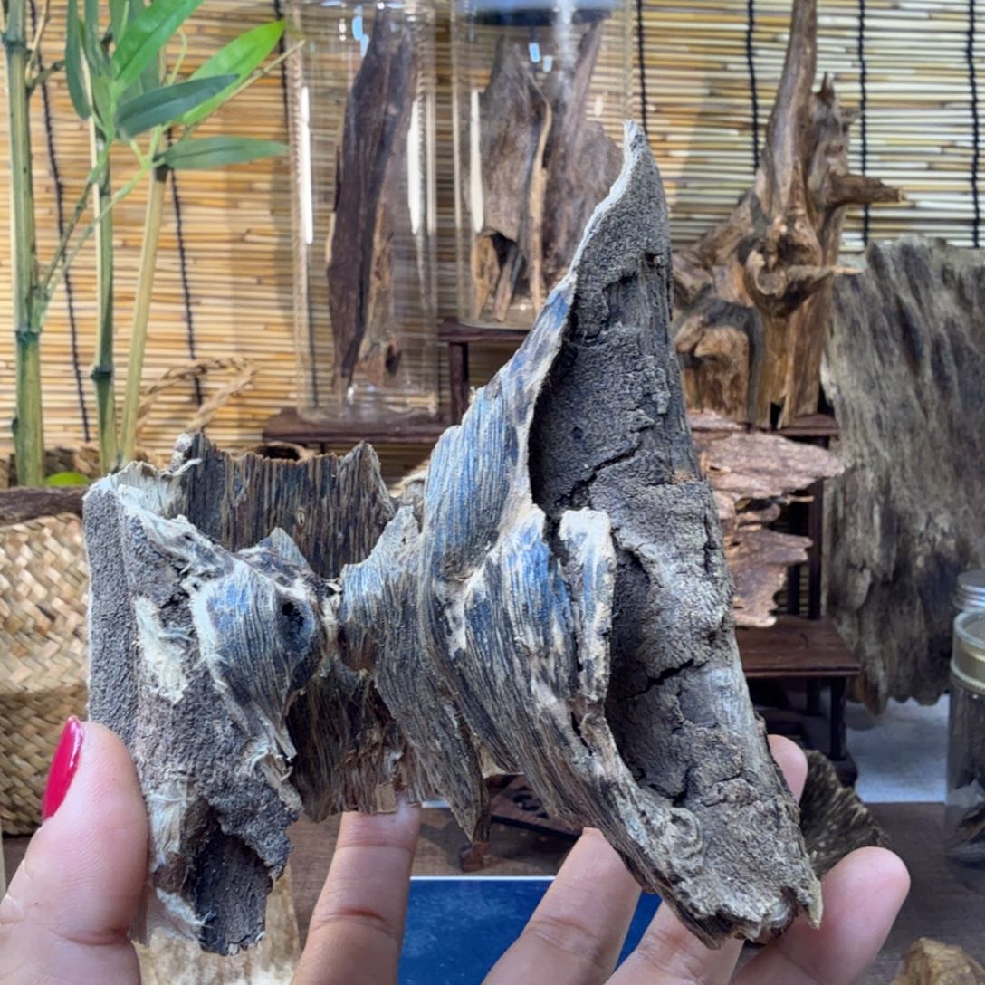 沉香沉香碎屑沉香虎斑棋59g