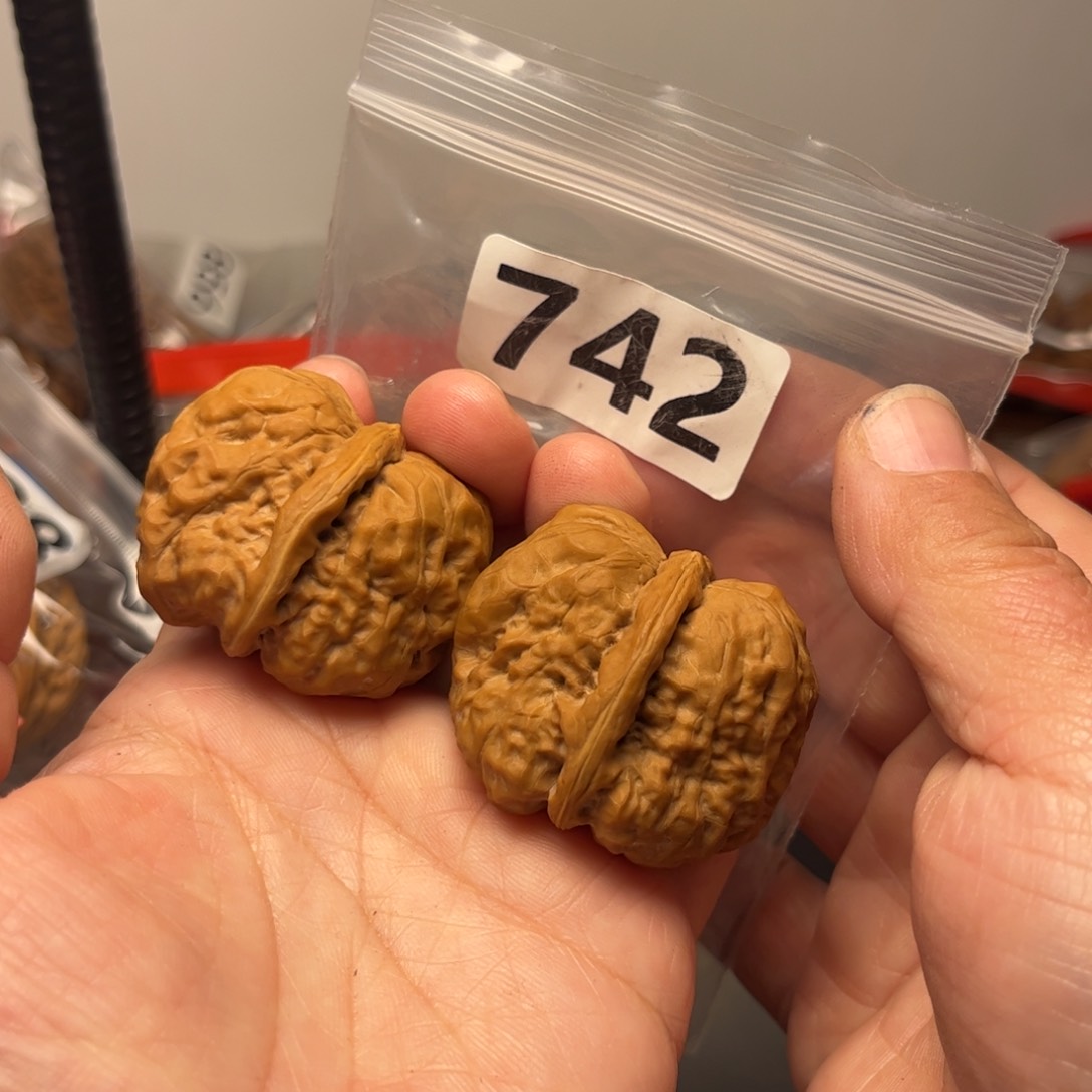 吊坠文玩核桃蛤蟆37