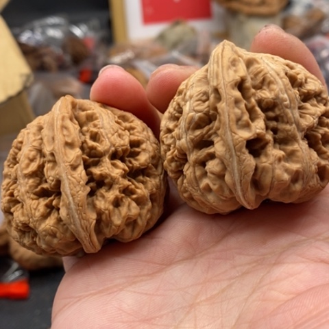 文玩核桃吊坠記*?粗筋