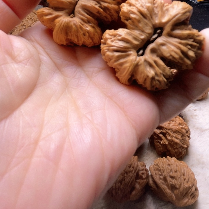 文玩核桃吊坠哈****）核桃核桃核桃核桃核桃