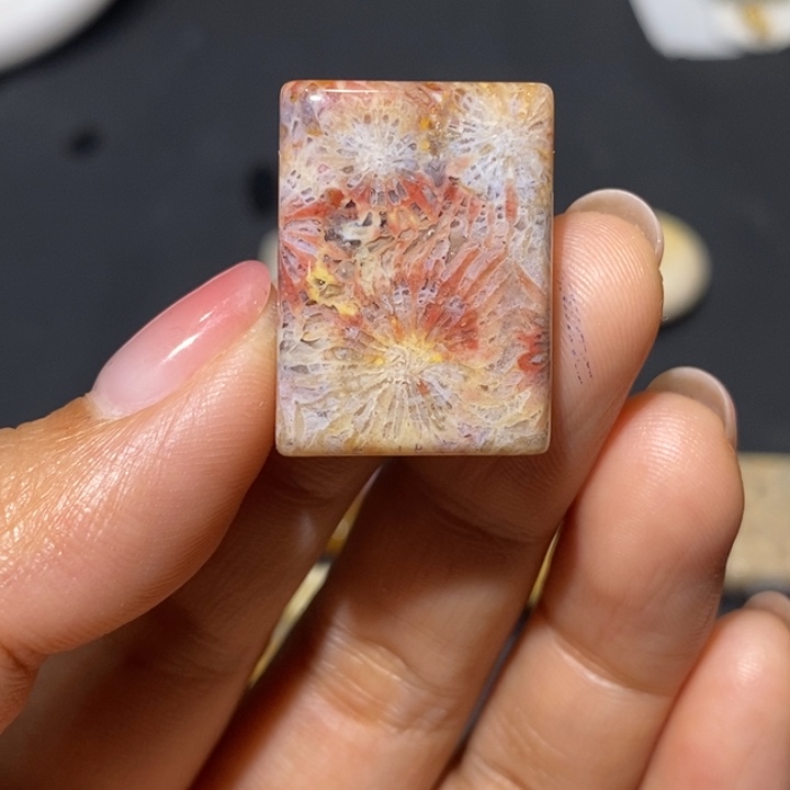 【闪购商品】未镶嵌珊瑚玉硅化玉