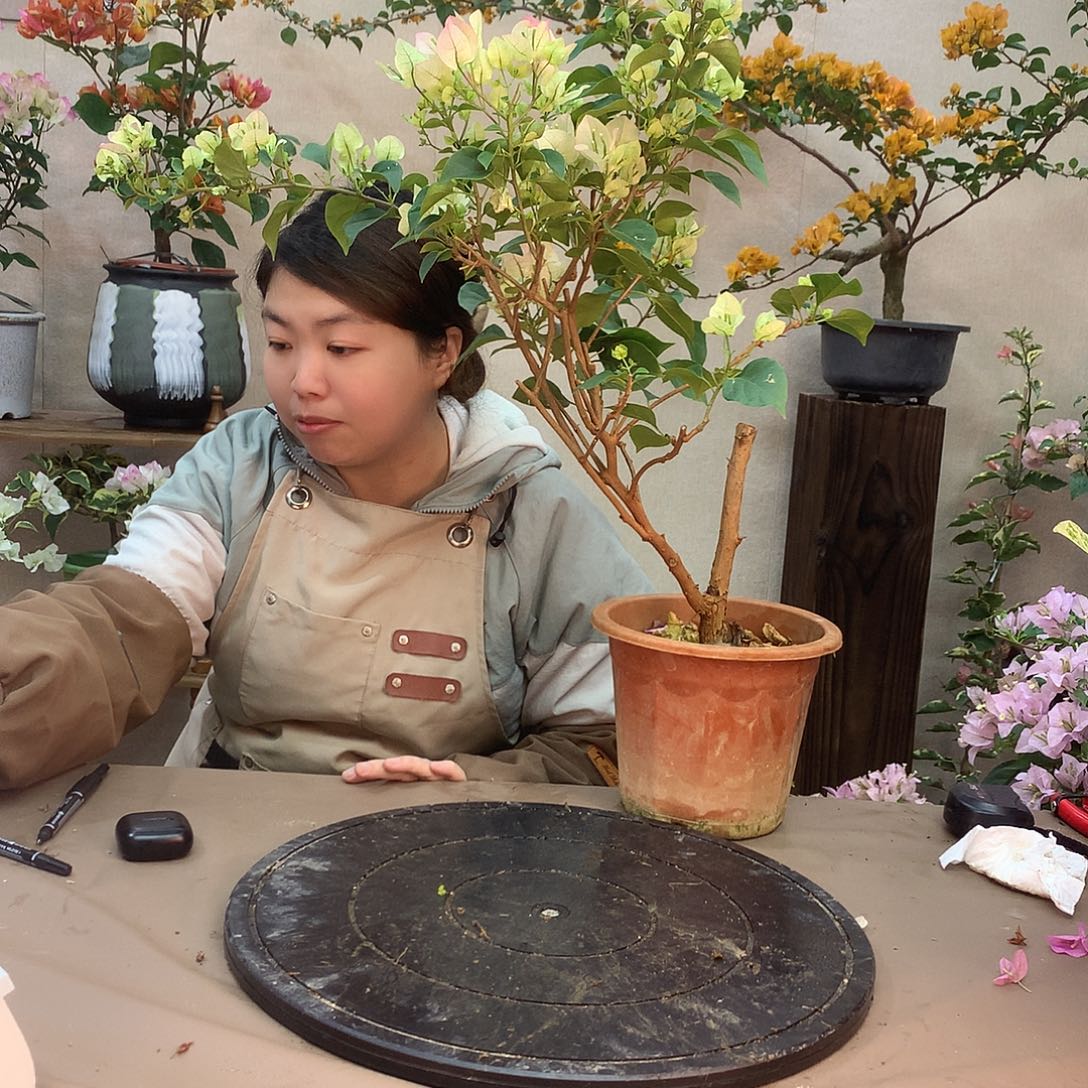 完全开放6088，绿樱