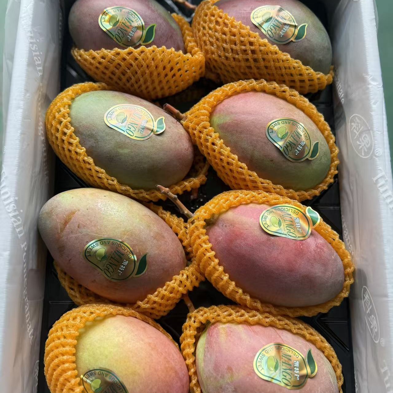 凯特芒1份（约3斤）