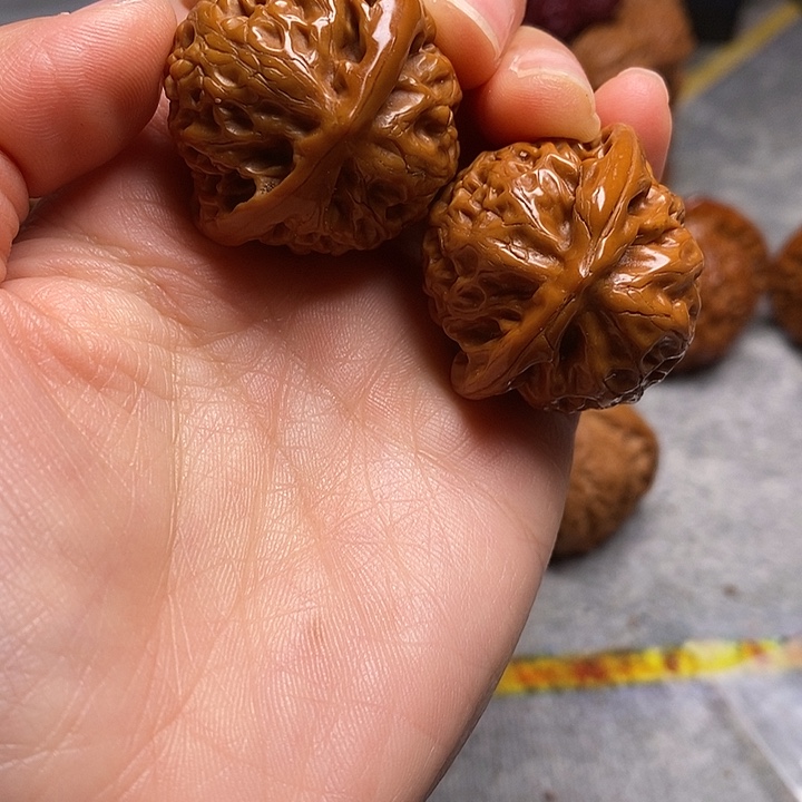 ᥫ****大叶紫檀（黑酸枝木类）