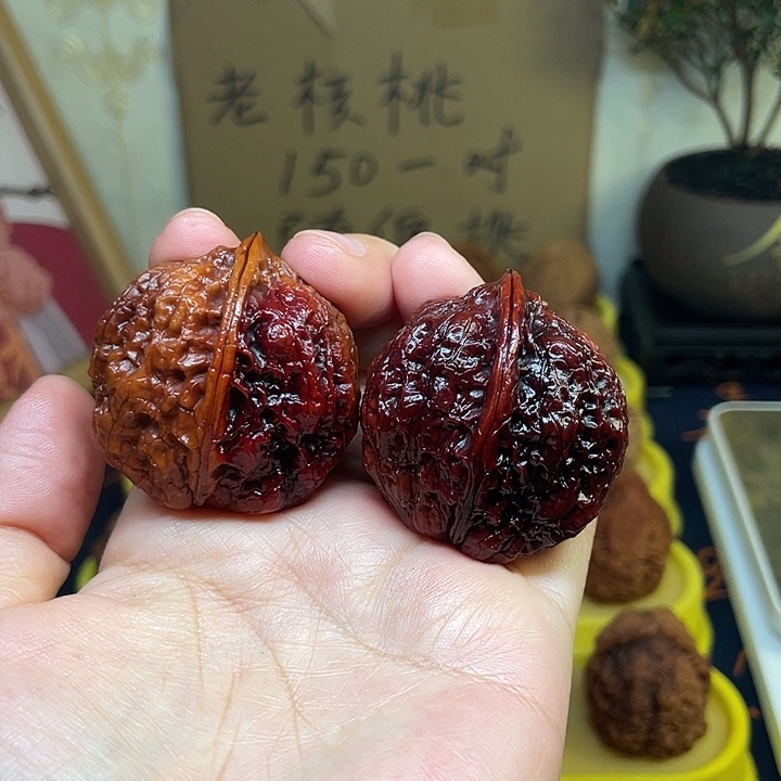 把件文玩核桃16、七彩鸭嘴兽41