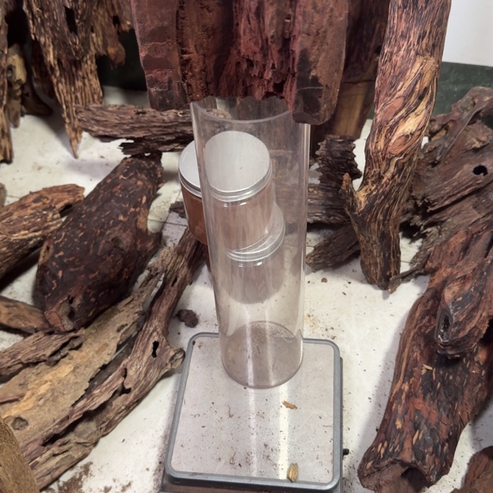 花梨木类小**风海南红降