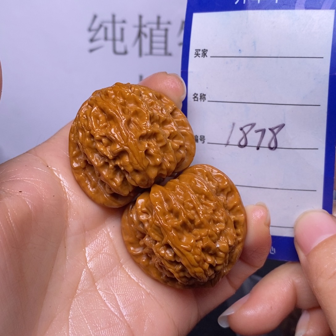 文玩核桃把件1878/37白狮子