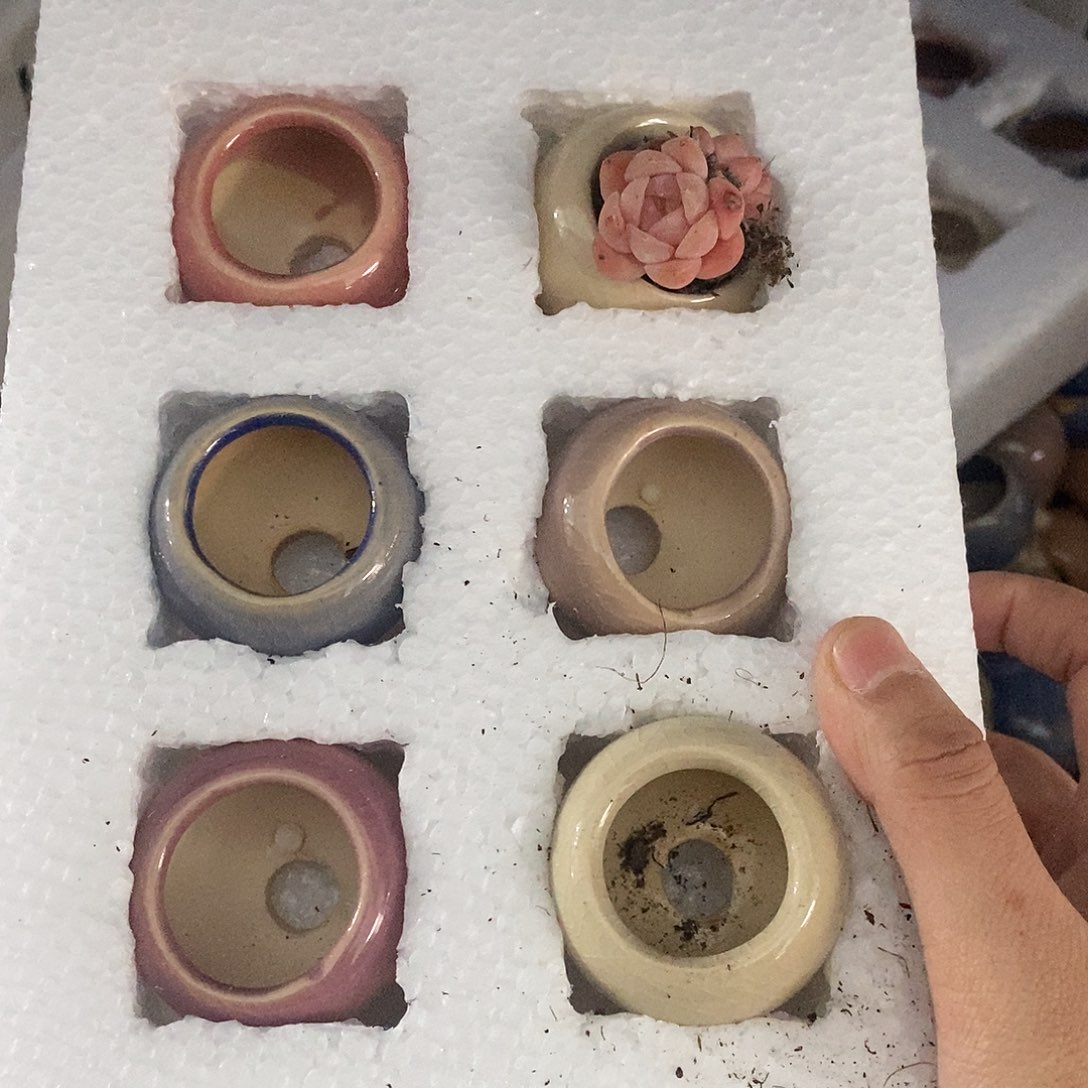 6个浮力「满9.9米包邮」