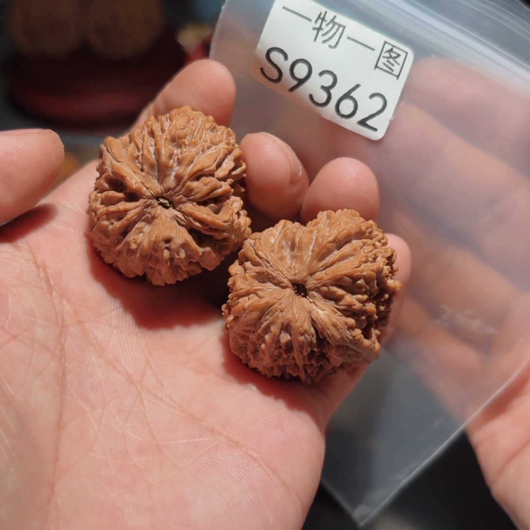 文玩核桃把件蒜头