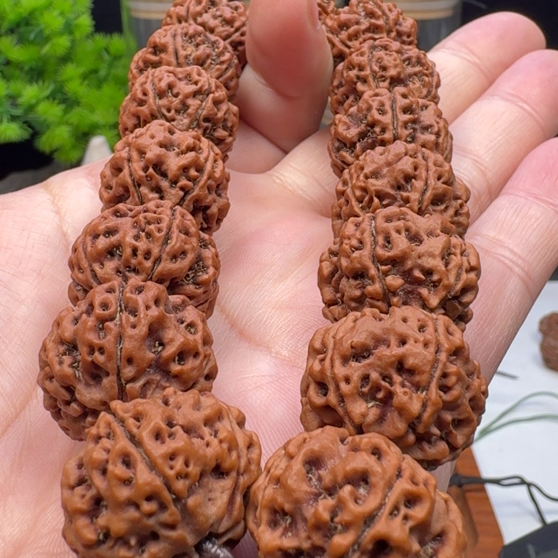 手串金刚菩提蜂窝双龙