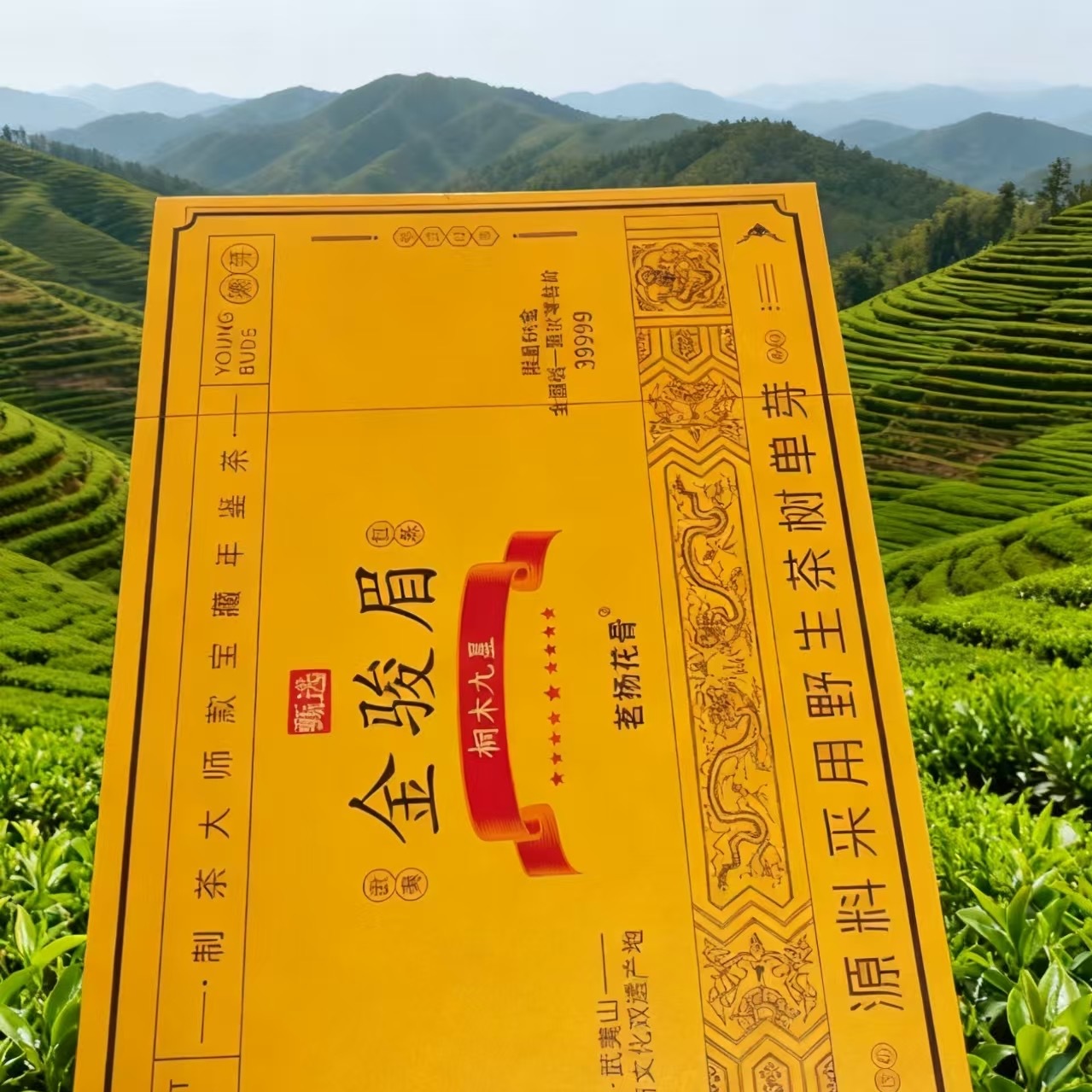 茗扬花骨（桐木九星）金骏眉5克*50泡
