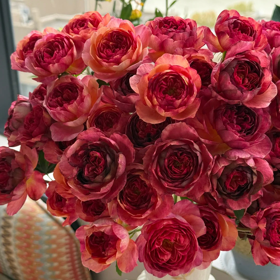七叶花坊# 【蜡染果汁】鲜花优选 顺丰直发 