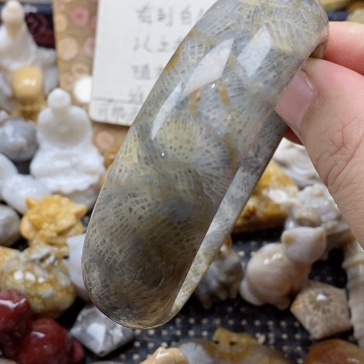 颈饰未镶嵌硅化珊瑚（珊瑚玉）60.8