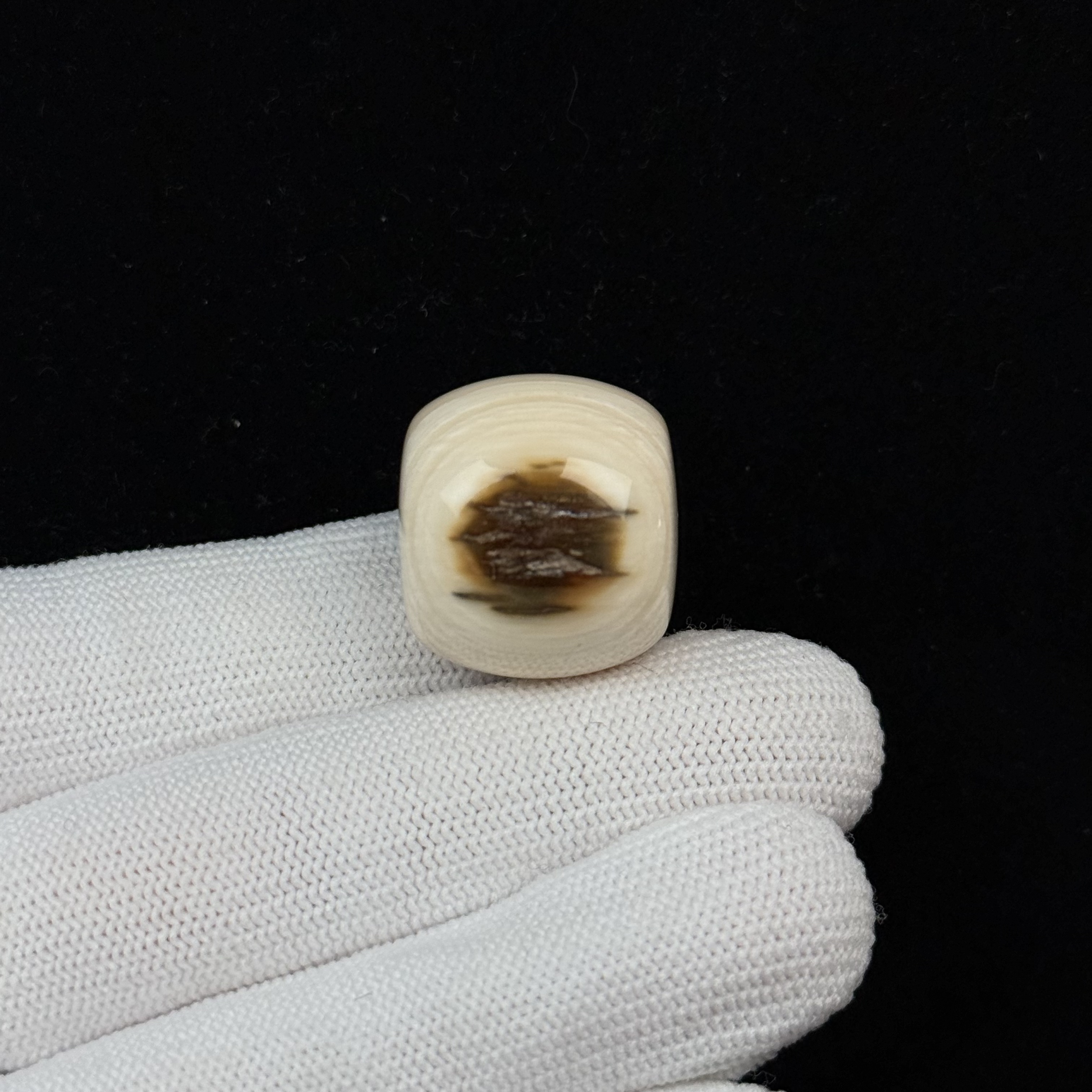 D66-67天然猛犸牙 黄金瞳墩子22x20mm支持复检假一罚十